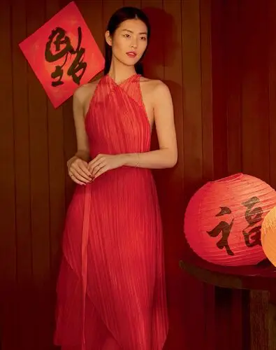 Liu Wen Wall Poster picture 735931