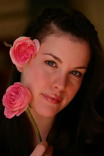 Liv Tyler Wall Poster picture 13496