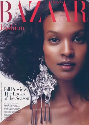 Liya Kebede Wall Poster picture 72111