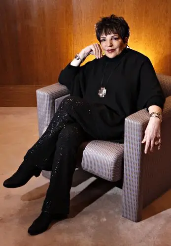 Liza Minnelli Protected Face mask - idPoster.com