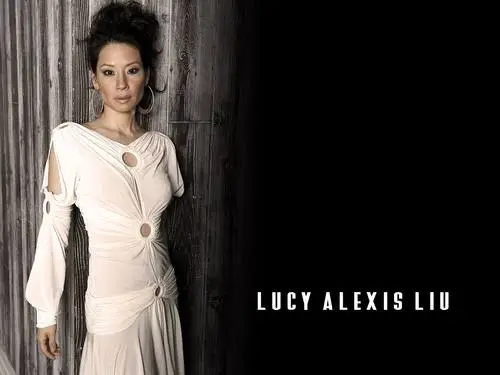 Lucy Liu Wall Poster picture 147452