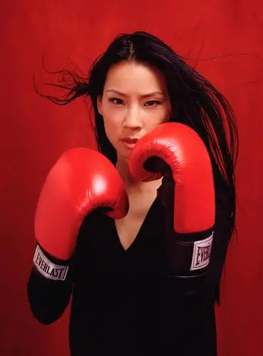 Lucy Liu Jigsaw Puzzle picture 41148