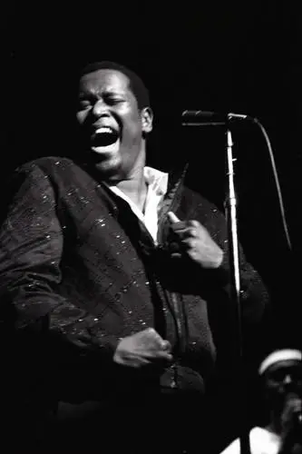 Luther Vandross Jigsaw Puzzle picture 745104