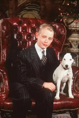 Macaulay Culkin Wall Poster picture 895822