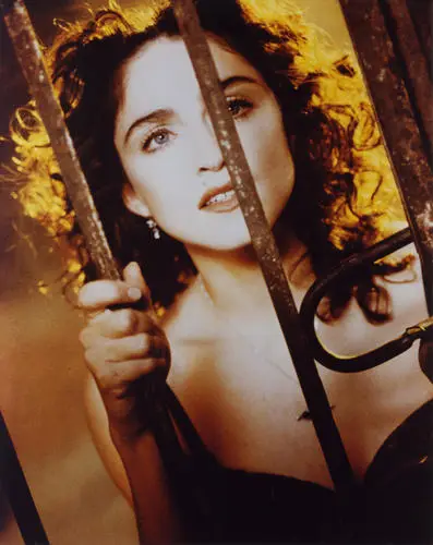 Madonna Jigsaw Puzzle picture 13943