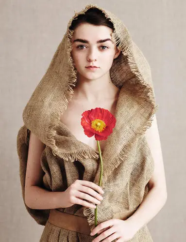 Maisie Williams Jigsaw Puzzle picture 473621