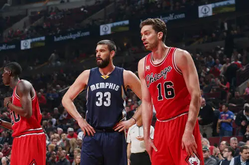 Marc Gasol Wall Poster picture 695870