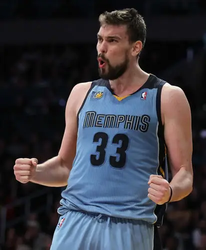 Marc Gasol Wall Poster picture 695892