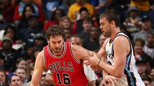 Marc Gasol Wall Poster picture 695904