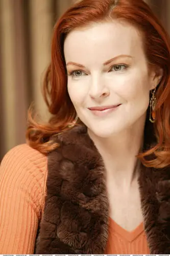 Marcia Cross Wall Poster picture 41391