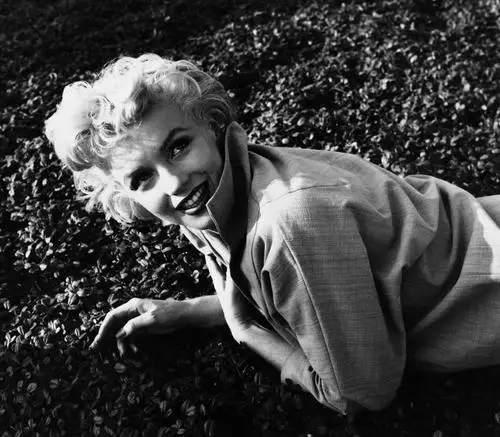 Marilyn Monroe Jigsaw Puzzle picture 14592