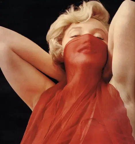 Marilyn Monroe Wall Poster picture 14650
