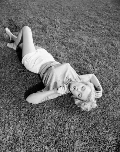 Marilyn Monroe Jigsaw Puzzle picture 14658