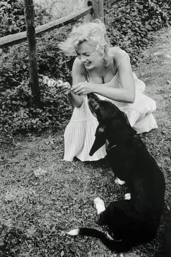 Marilyn Monroe Fridge Magnet picture 189206