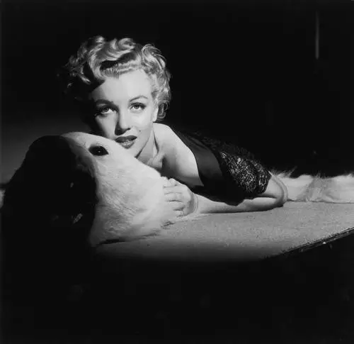 Marilyn Monroe Wall Poster picture 253736