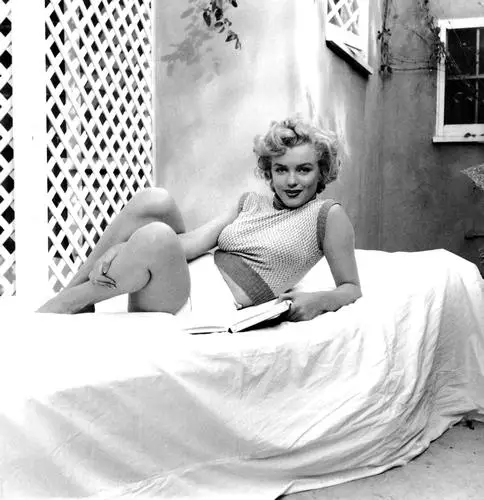 Marilyn Monroe Jigsaw Puzzle picture 253764