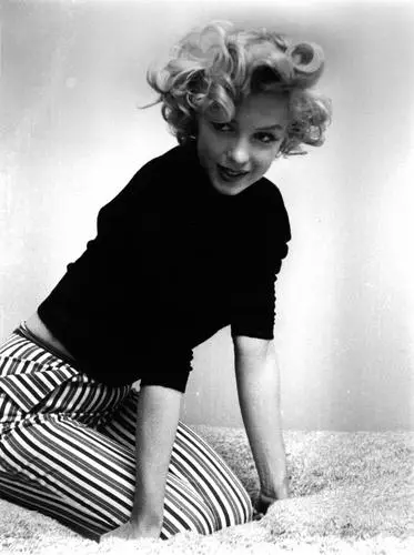 Marilyn Monroe Wall Poster picture 253774
