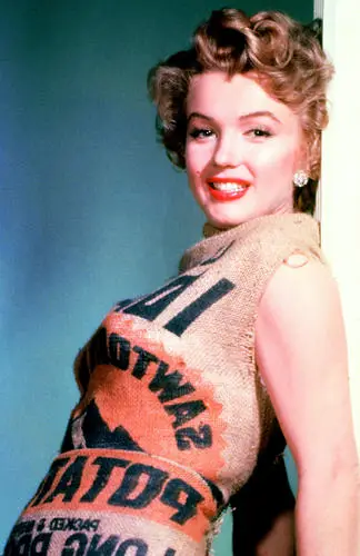 Marilyn Monroe Wall Poster picture 253791