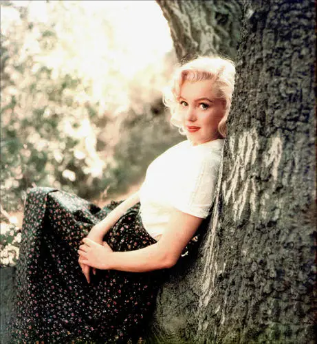 Marilyn Monroe Wall Poster picture 253808