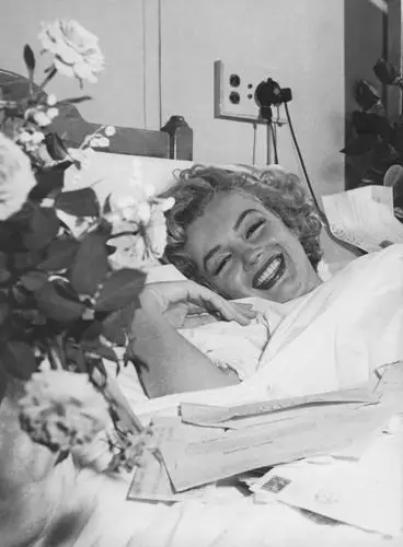 Marilyn Monroe Fridge Magnet picture 253848