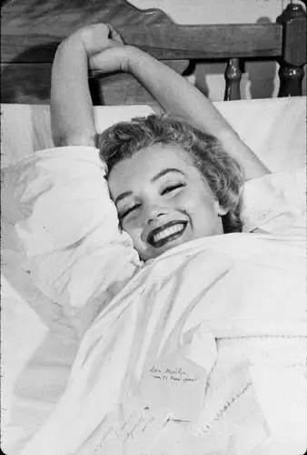 Marilyn Monroe Fridge Magnet picture 253849