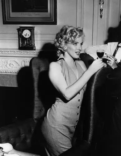 Marilyn Monroe Fridge Magnet picture 253852