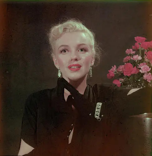 Marilyn Monroe Fridge Magnet picture 789548
