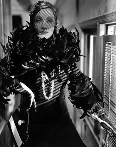 Marlene Dietrich Fridge Magnet picture 254073