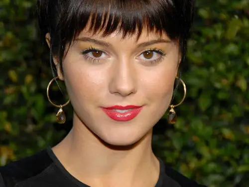 Mary Elizabeth Winstead Jigsaw Puzzle picture 88537