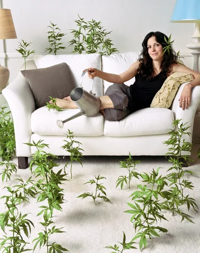 Mary Louise Parker Wall Poster picture 1236676