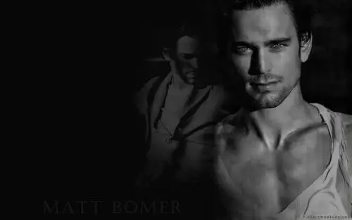 Matthew Bomer Wall Poster picture 84418
