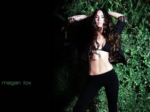 Megan Fox Wall Poster picture 182424
