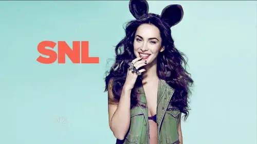 Megan Fox Wall Poster picture 60830