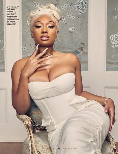 Megan Thee Stallion Jigsaw Puzzle picture 1037763