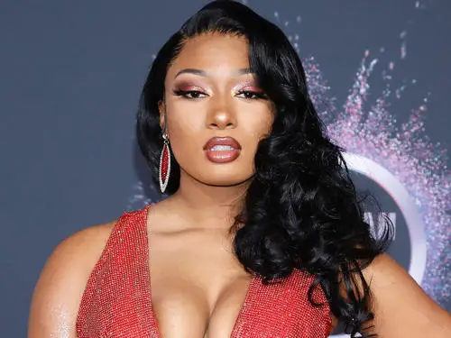 Megan Thee Stallion Jigsaw Puzzle picture 917580
