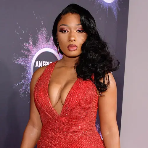 Megan Thee Stallion Jigsaw Puzzle picture 917606