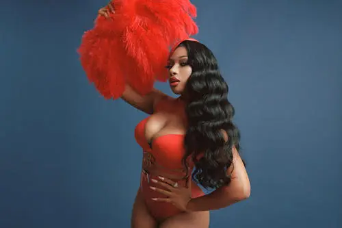 Megan Thee Stallion Jigsaw Puzzle picture 917607