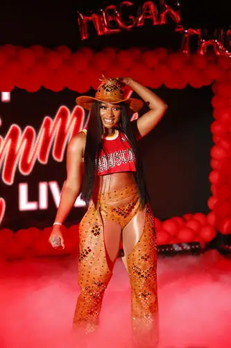 Megan Thee Stallion Jigsaw Puzzle picture 917612