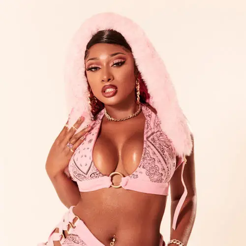 Megan Thee Stallion Wall Poster picture 917631