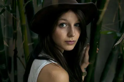 Melissa Benoist Wall Poster picture 881964