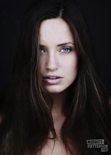 Merritt Patterson Wall Poster picture 492694