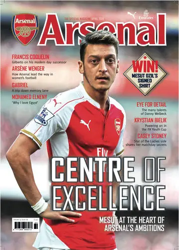 Mesut Ozil Wall Poster picture 671651