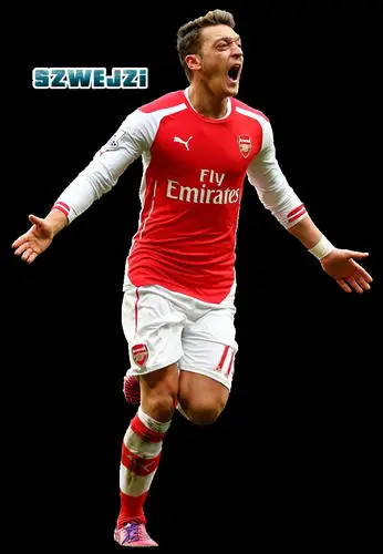 Mesut Ozil Wall Poster picture 671684
