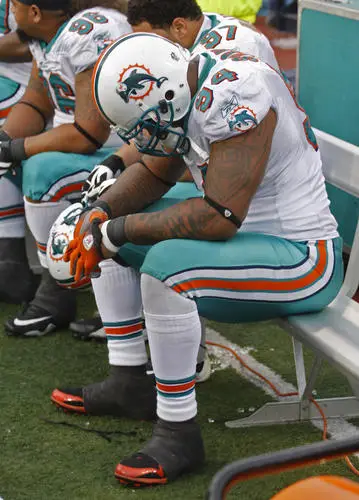 Miami Dolphins Image Jpg picture 58341