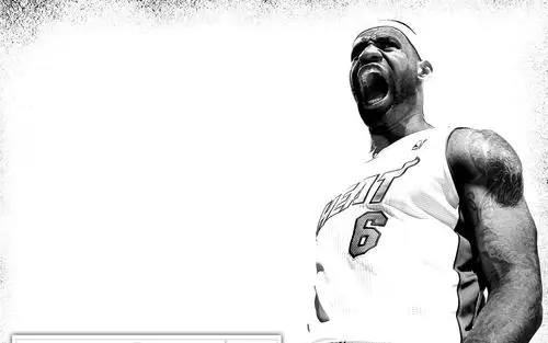 Miami Heat Wall Poster picture 148352