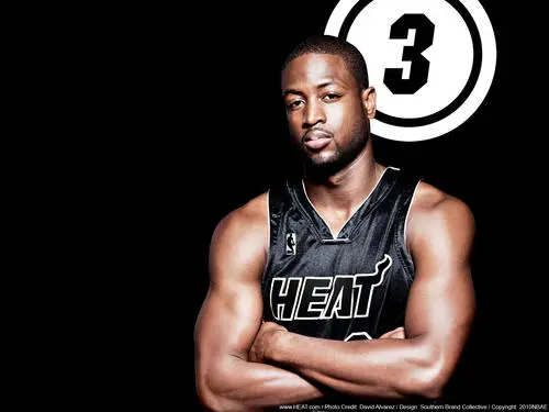 Miami Heat Wall Poster picture 148409