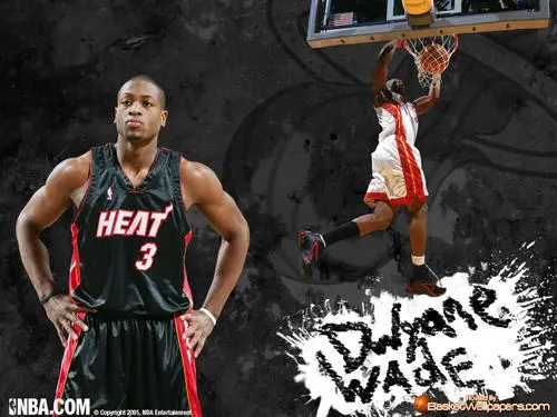 Miami Heat Wall Poster picture 148411
