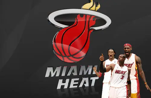 Miami Heat Men's Colored Hoodie - idPoster.com
