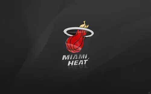 Miami Heat Fridge Magnet picture 148492