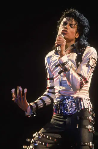 Michael Jackson Wall Poster picture 148650